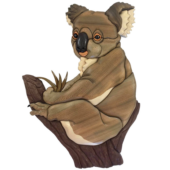 Australian Animals