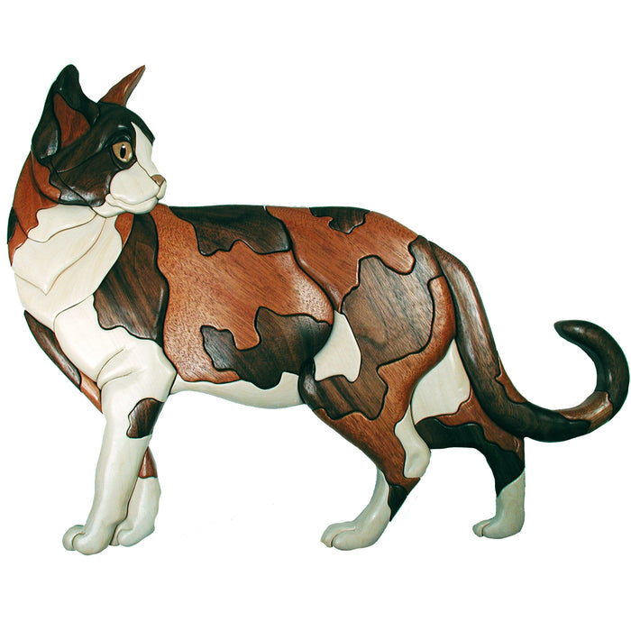 Cats