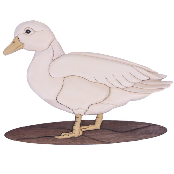 Ducks & Geese