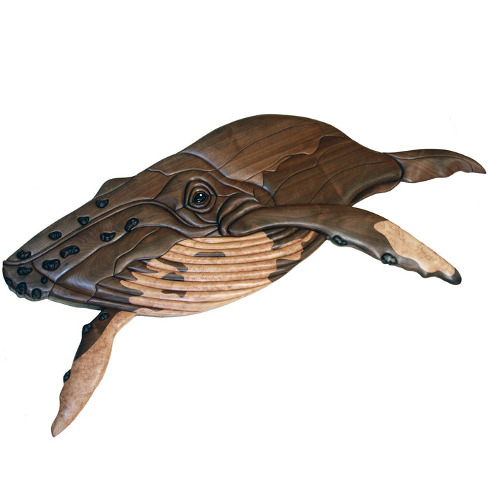 Marine Animals
