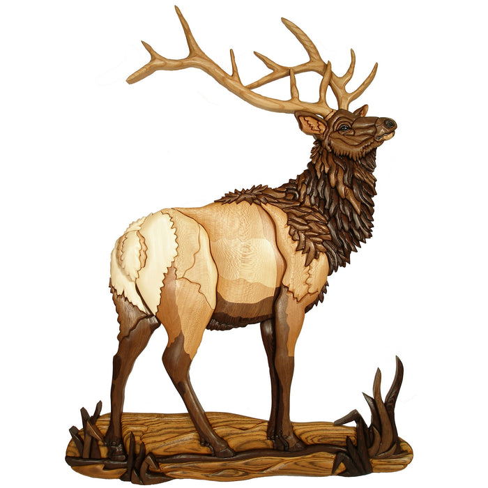 North American Animals