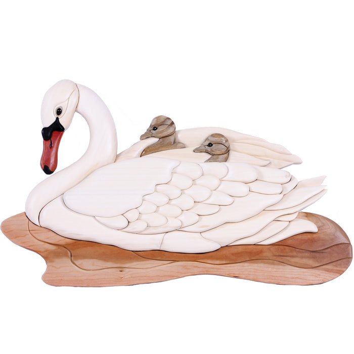 Water Birds