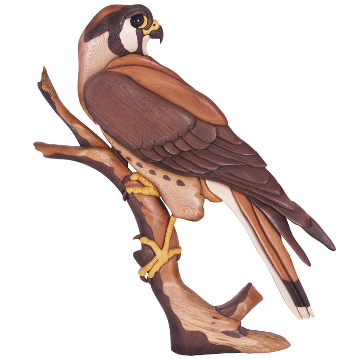 Birds of Prey