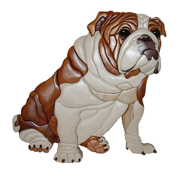 Dogs