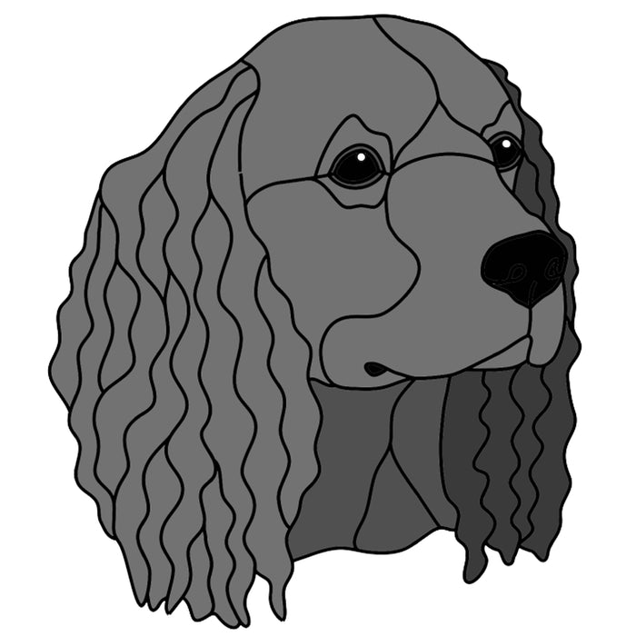 Water Spaniel Head