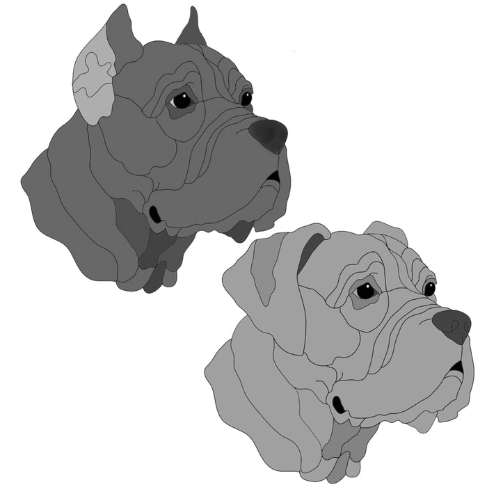 Cane Corso Head