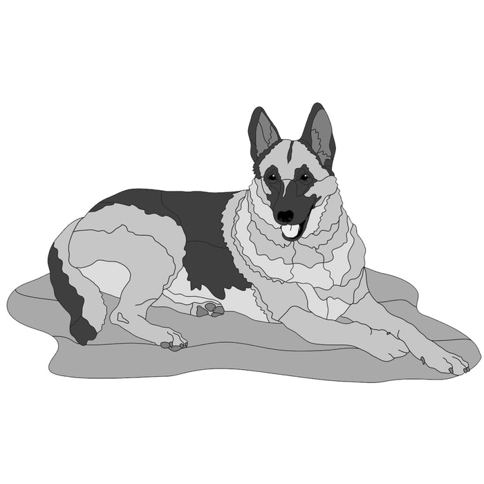 German Shepherd Lying