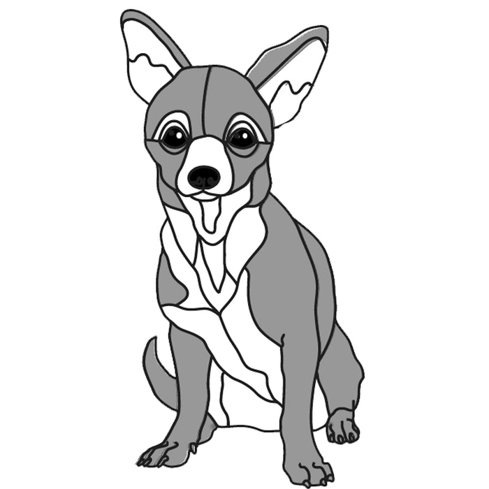 Chihuahua Sitting Shorthair