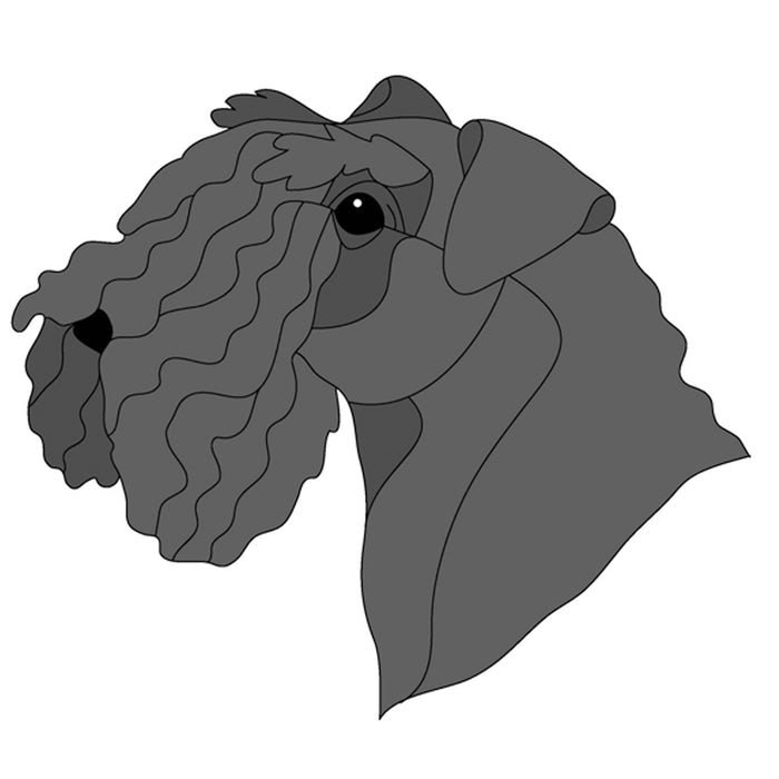 Kerry Blue Terrier Head