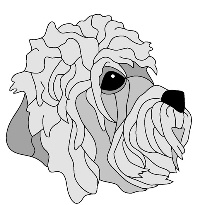 Dandie Dinmont Head