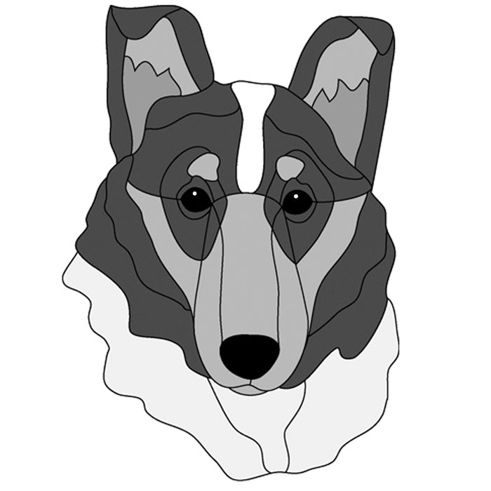 Smooth Collie Head