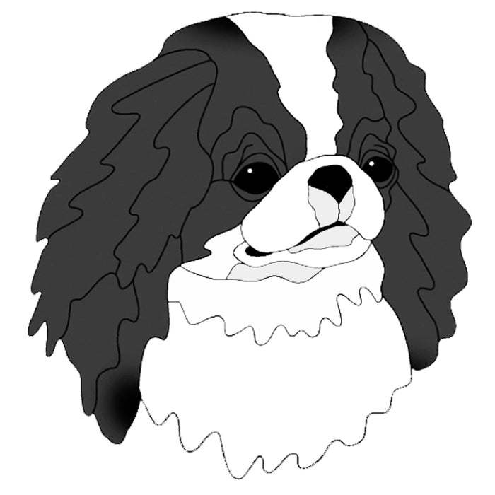 Japanese Chin Head