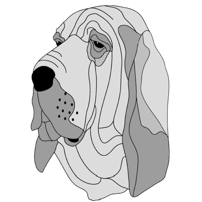 Bloodhound Head
