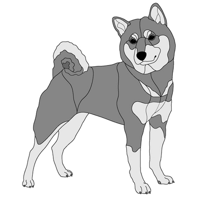 Shiba Inu Standing