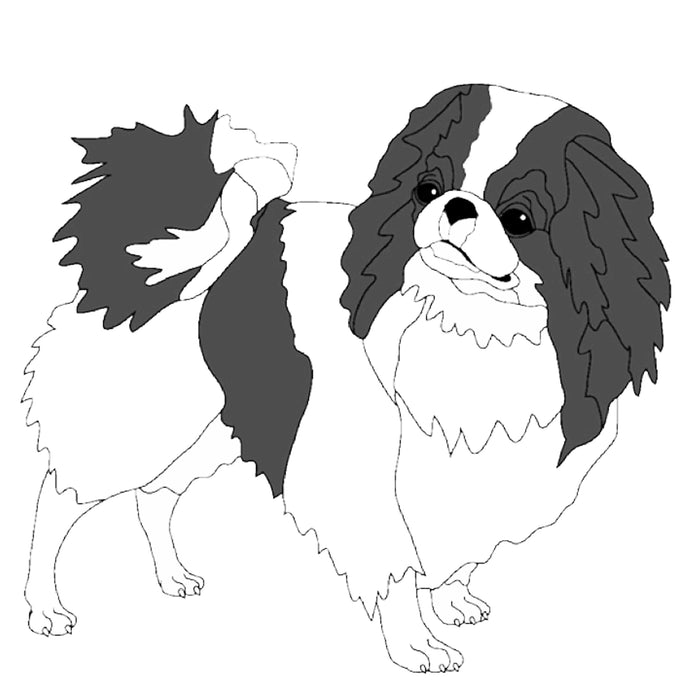 Japanese Chin Standing