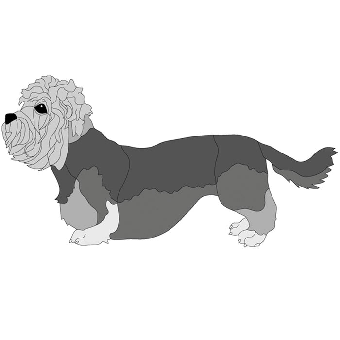 Dandie Dinmont Terrier Standing