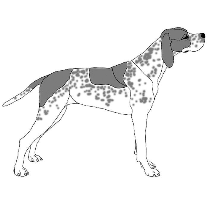 Pointer Standing