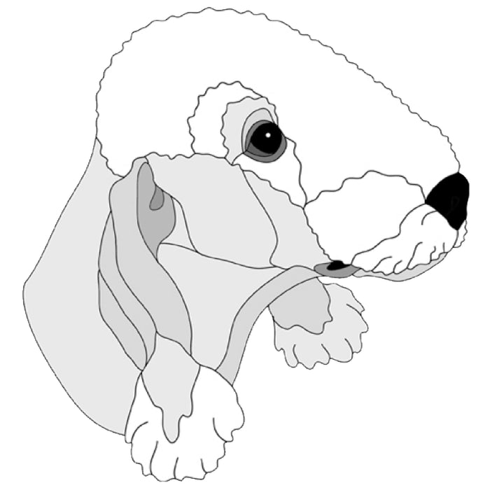 Bedlington Terrier Head