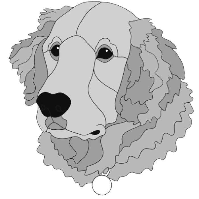 Golden Retriever Head #3
