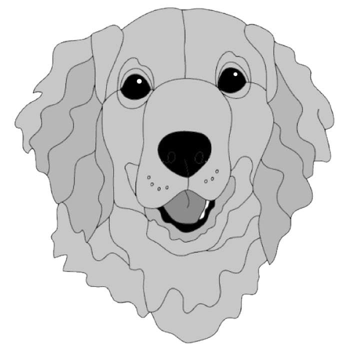 Golden Retriever Head #2