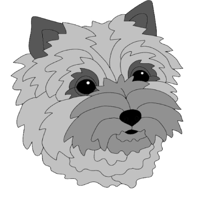 Cairn Terrier Head