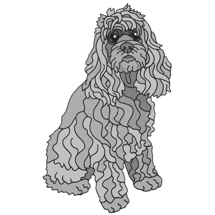 Cocker Spaniel Sitting