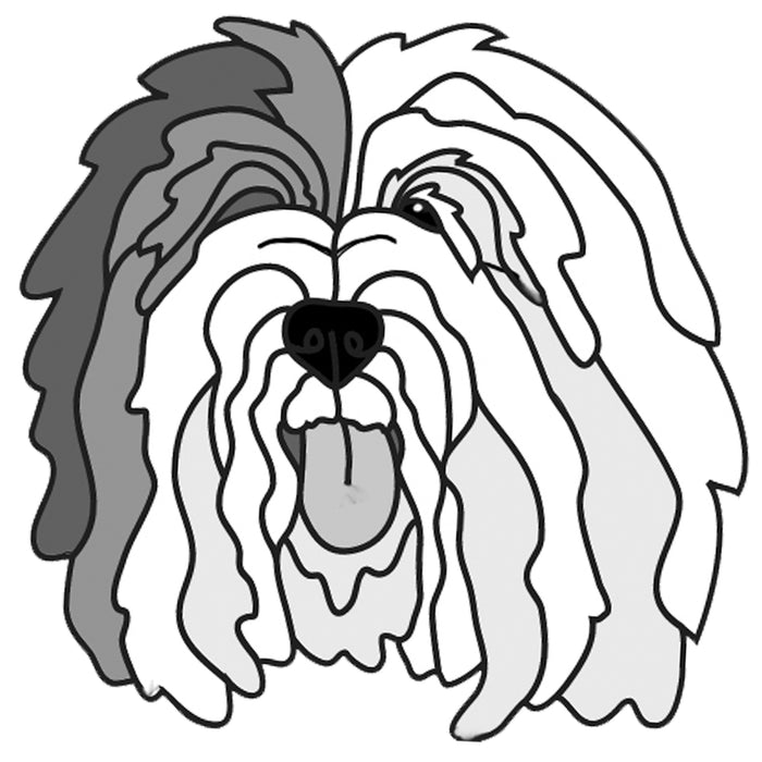 Old English Sheepdog Head