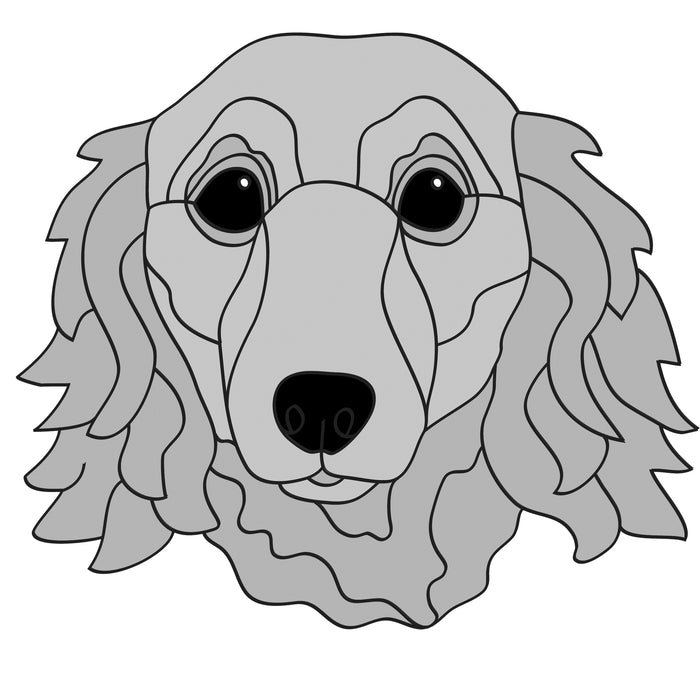 Dachshund Head Long Hair