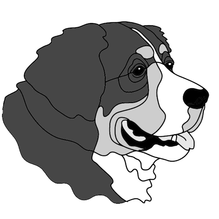 Bernese Mountain Dog Head