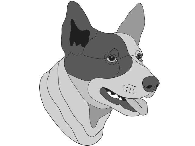 Black and white thumbnail of Australian Cattle Dog head #076