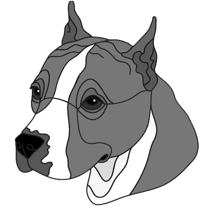 American Pit Bull Head