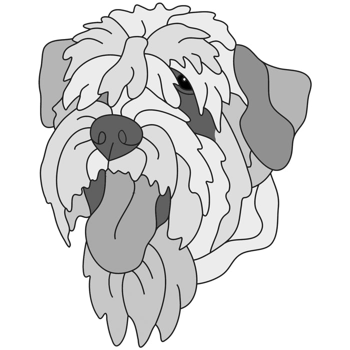 Soft Coated Wheaten Terrier Head