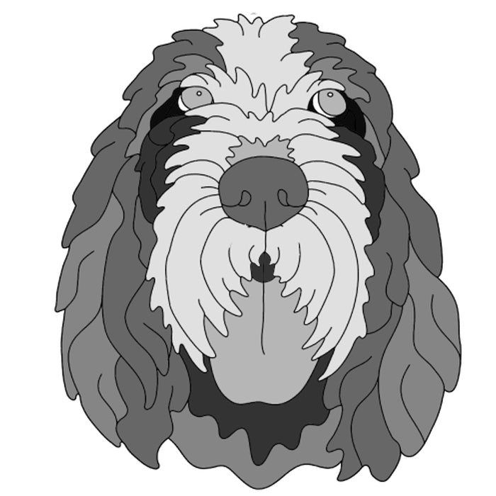 Spinola Italiano Head