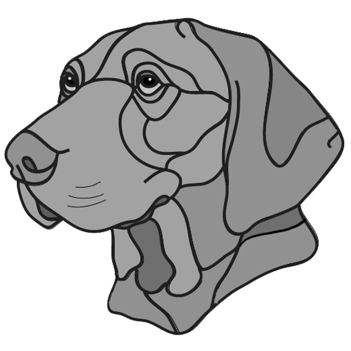 Vizslas Head