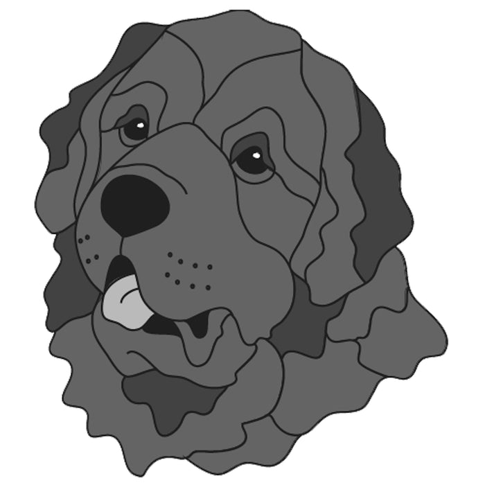 Newfoundland Head