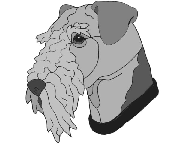 Airedale Head
