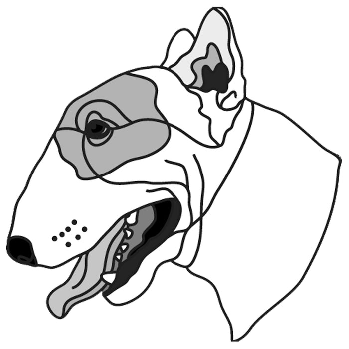 Bull Terrier Head
