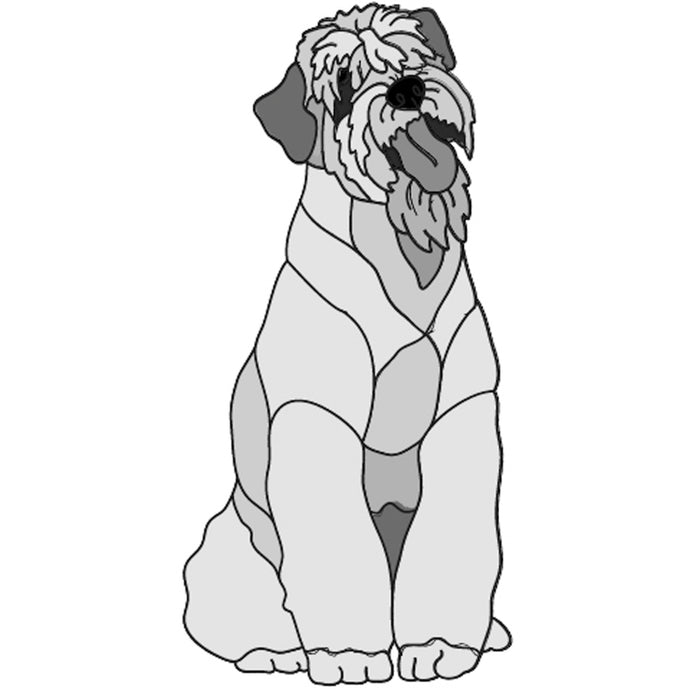 Soft Coated Wheaten Terrier Sitting
