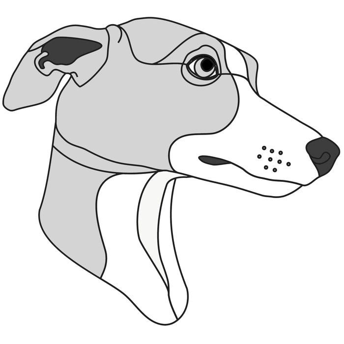 Whippet Head
