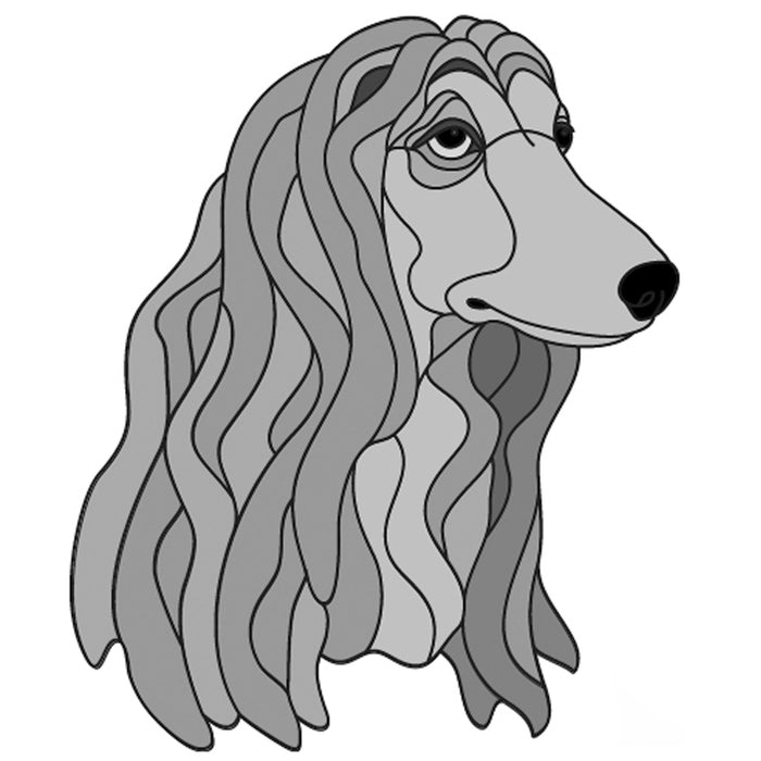 Afghan Hound Head