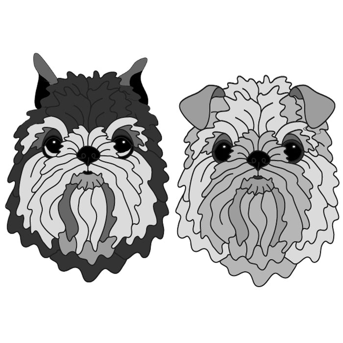 Brussels Griffon Head