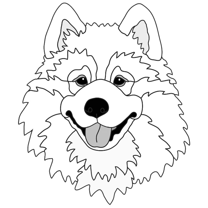 Samoyed Head (new version)