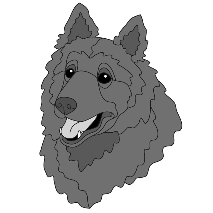 Belgian Sheepdog Head