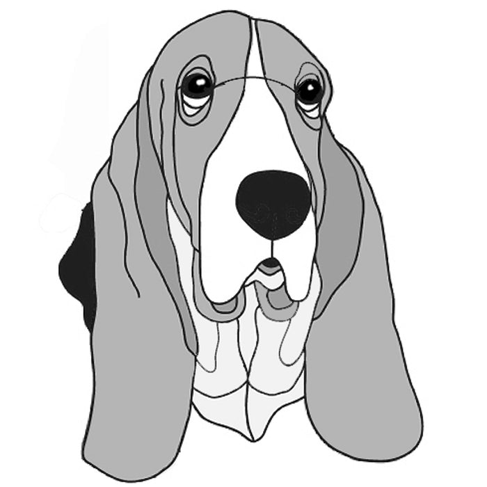 Basset Hound Head
