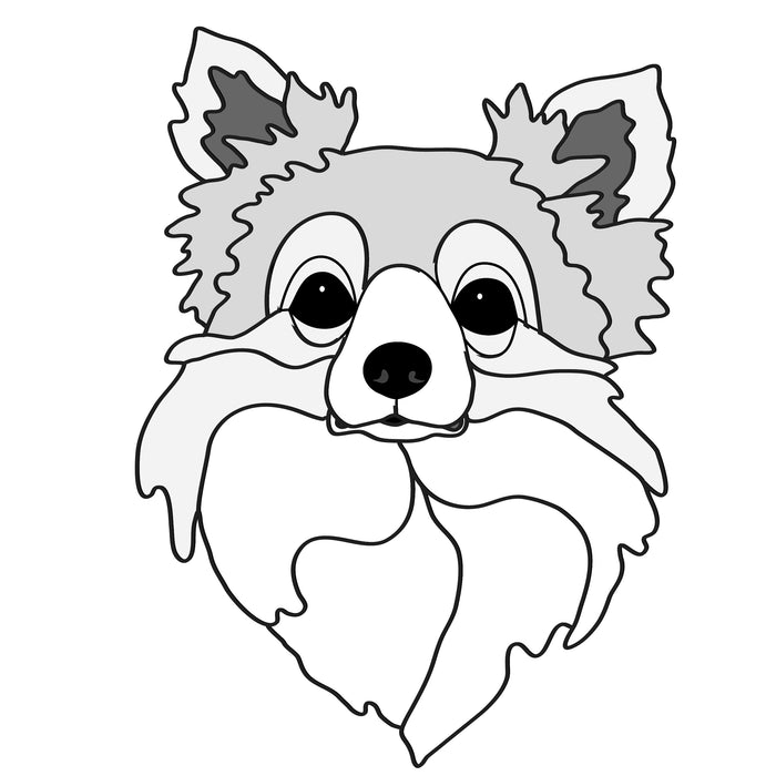 Chihuahua Long Haired Head