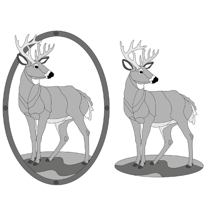 Whitetail Buck Standing w/oval frame