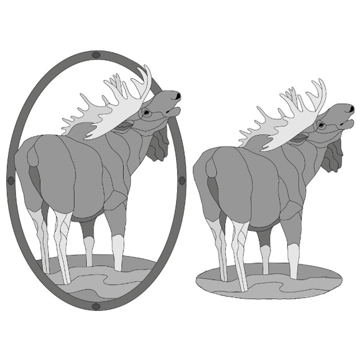 Moose Standing