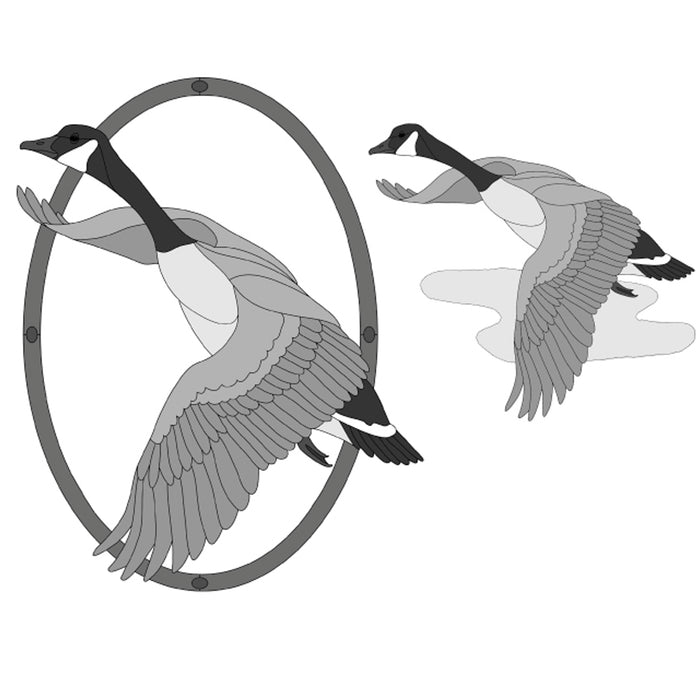 Canadian Goose w/oval frame