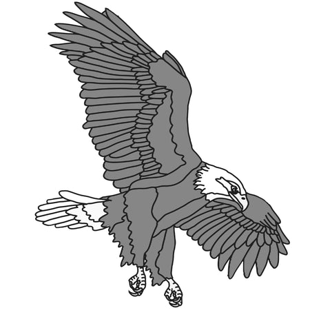 Flying eagle