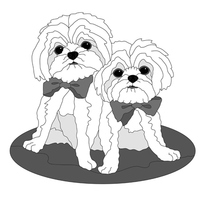 Pint-size Pair